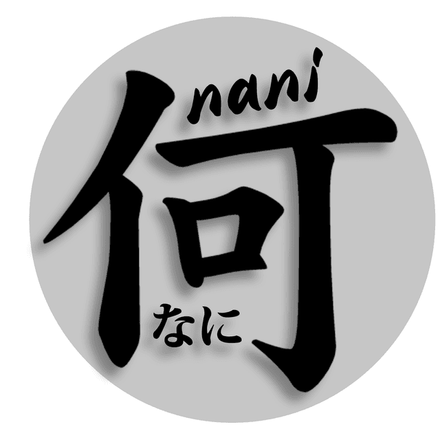 Nani Systems Logo